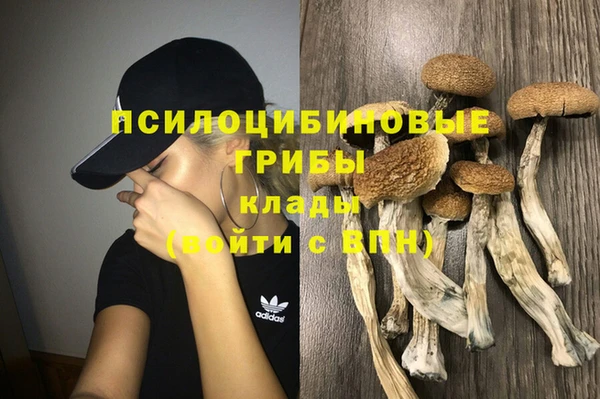 МДМА Алексеевка