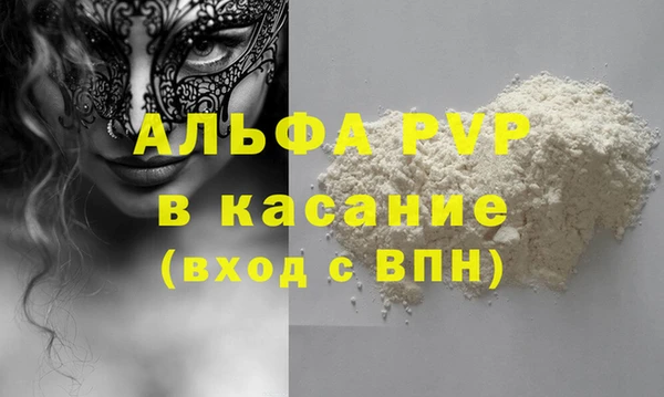 СК Алексин