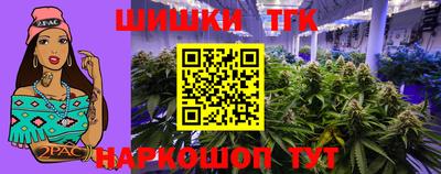 МДПВ Камышлов