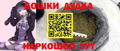 МДПВ Камышлов