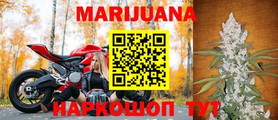 МДПВ Камышлов