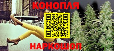МДПВ Камышлов