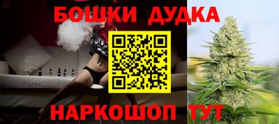 МДПВ Камышлов