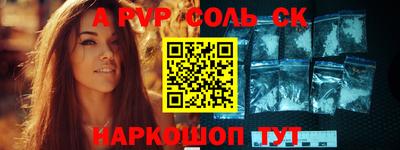 МДПВ Камышлов
